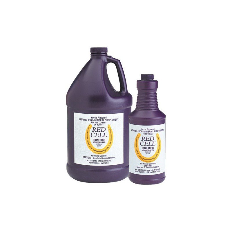 SERINGUE 60 ML - DLS EQUITATION