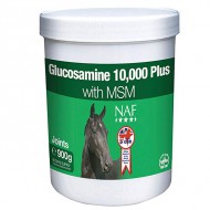 Glucosamine 10,000 Plus avec MSM NAF