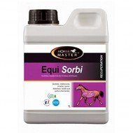 EQUISORBI