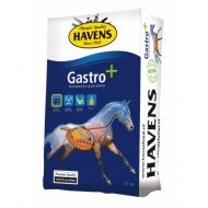 HAVENS GASTRO +