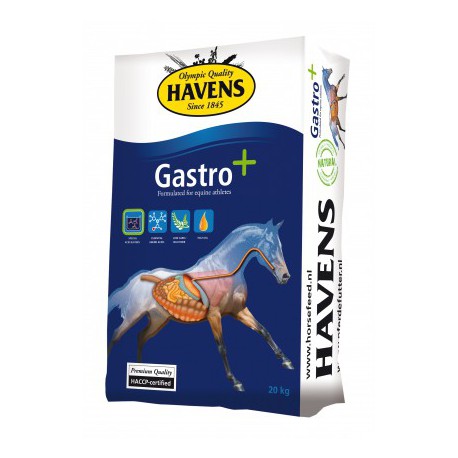 HAVENS GASTRO +