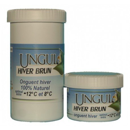 UNGULA HIVER BRUN