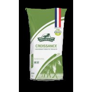 Croissance 