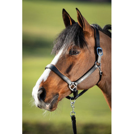Licol Cuir Chromé Blanc Pour Cheval De Trait - Super Résistant Et Confortable