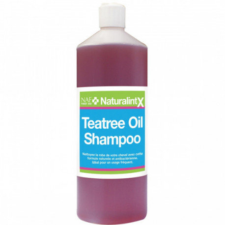 Shampoing TEATREE OIL