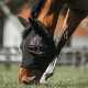 FLY MASK FIR-TECH