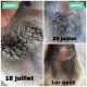 Onguent anti-crevasse et gale de boue