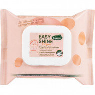 Lingettes nettoyantes Easy Shine