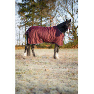 Couverture imperméable Horse Guard 100g