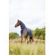 Couverture imperméable + couvre cou amovible 100g HorseGuard