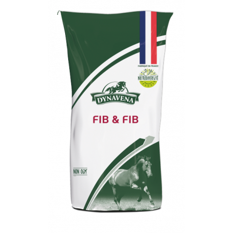 FIB & FIB