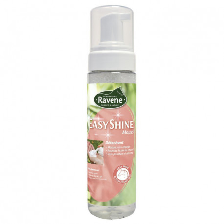 EASY SHINE MOUSSE