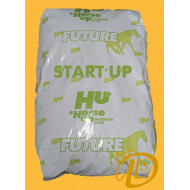 START UP