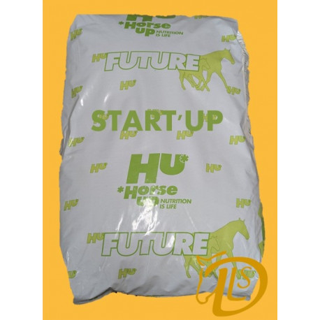 START UP