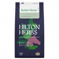 SENIOR HORSE