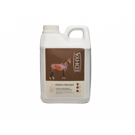 EDHYA TRANSIT