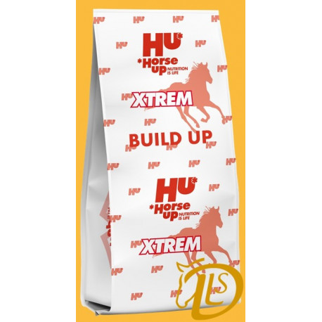 XTREM BUILD UP