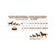 Lamb & Rice Premium