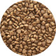 Adulte Mini Premium