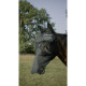 Masque anti-mouches anti-UV PRO SERIES - Visor