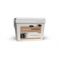 EQUISPORT GESTATION