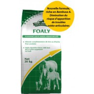 Foaly