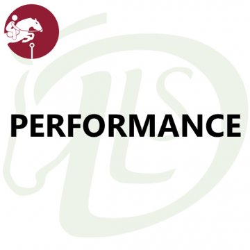 Performance