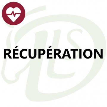 Récupération