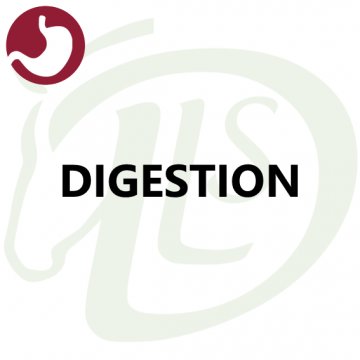 Digestion