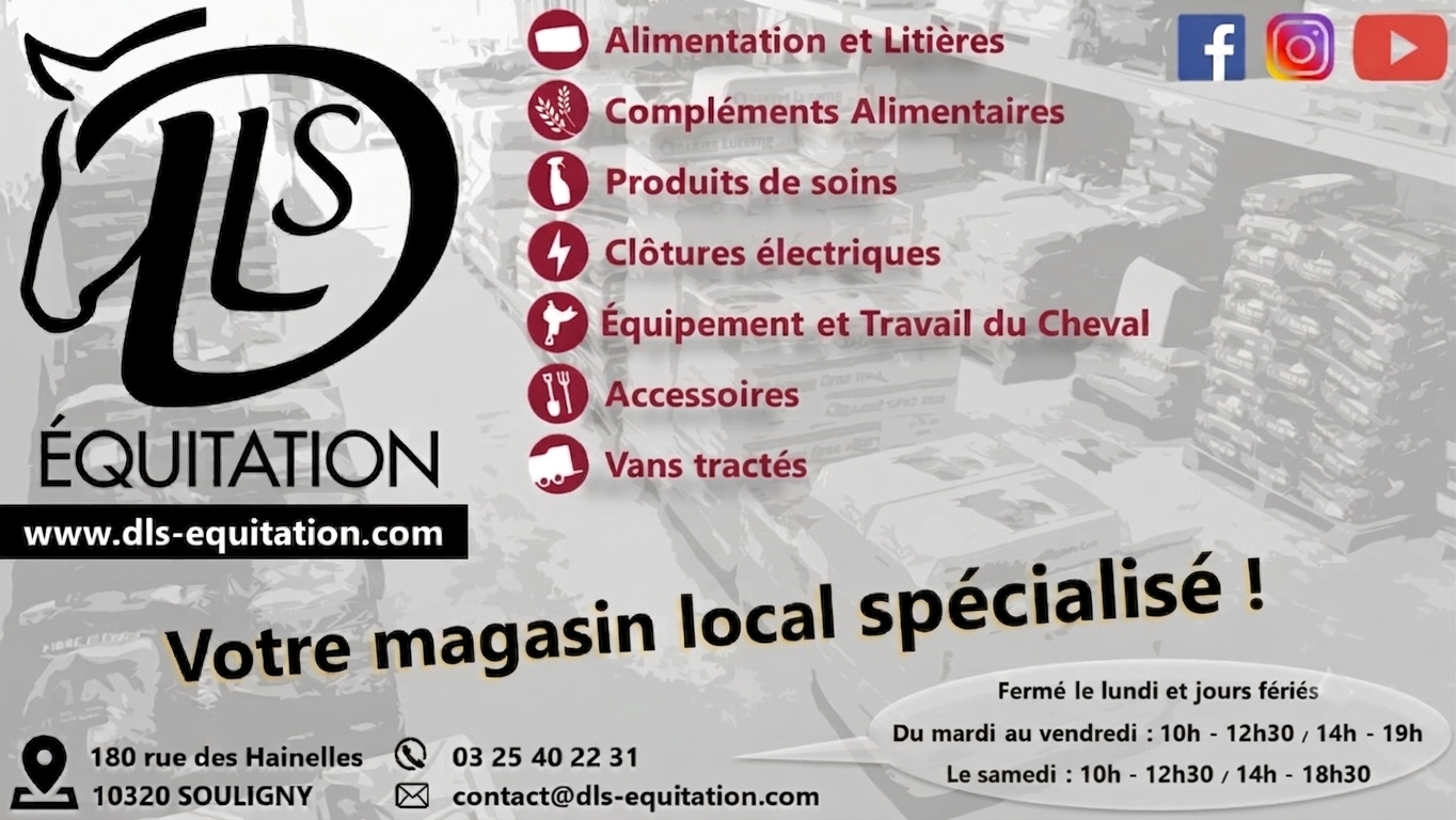 DLS Equitation : votre magasin local sp&eacute;cialis&eacute; !
